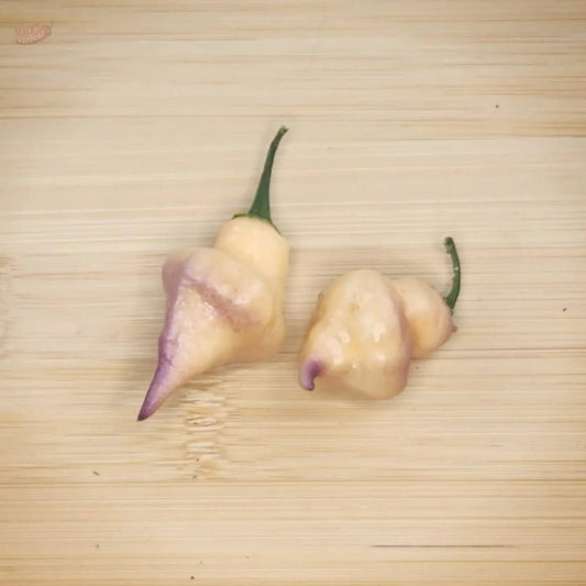 Ganzo Peach - Mack's Peppers Hot
