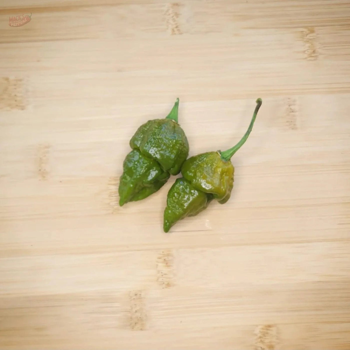 Gator Jigsaw - Mack's Peppers Superhot