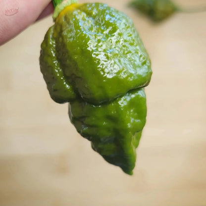 Gator Jigsaw - Mack's Peppers Superhot