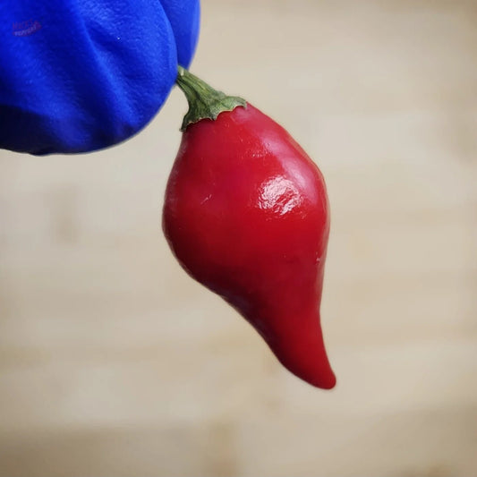 Ghost Dropping - Mack's Peppers Mild