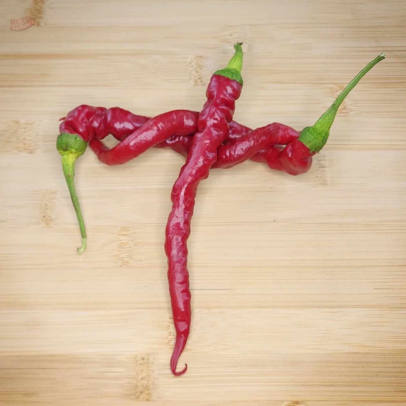 Hangjiao 4 Comet's Tail (HJ4) - Mack's Peppers Mild