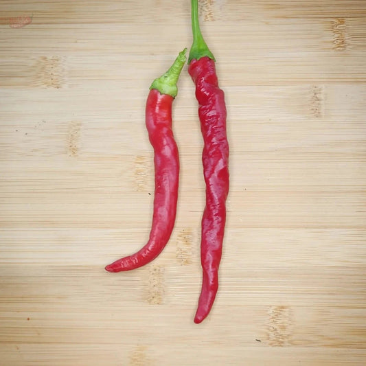 Hangjiao 7 Supernova (HJ7) - Mack's Peppers Hot