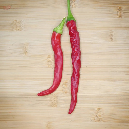 Hangjiao 7 Supernova (HJ7) - Mack's Peppers Hot