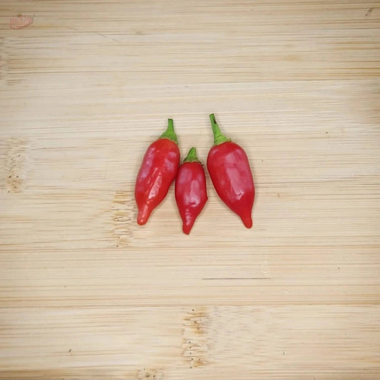 Inca Red Drop - Mack's Peppers Medium