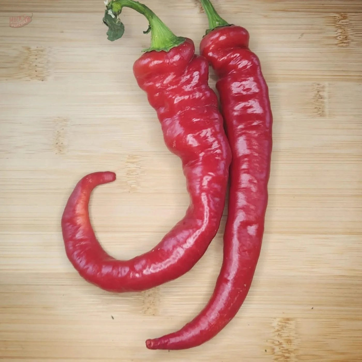 Jimmy Nardello - Mack's Peppers Mild