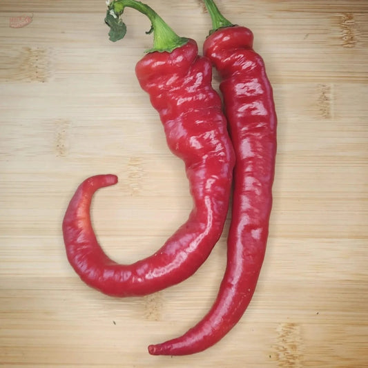 Jimmy Nardello - Mack's Peppers Mild