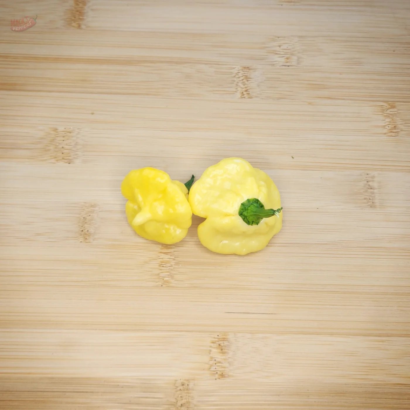 KS Lemon Starrburst (KSLS) - Mack's Peppers Hot