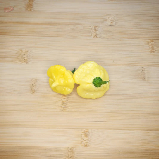 KS Lemon Starrburst (KSLS) - Mack's Peppers Hot