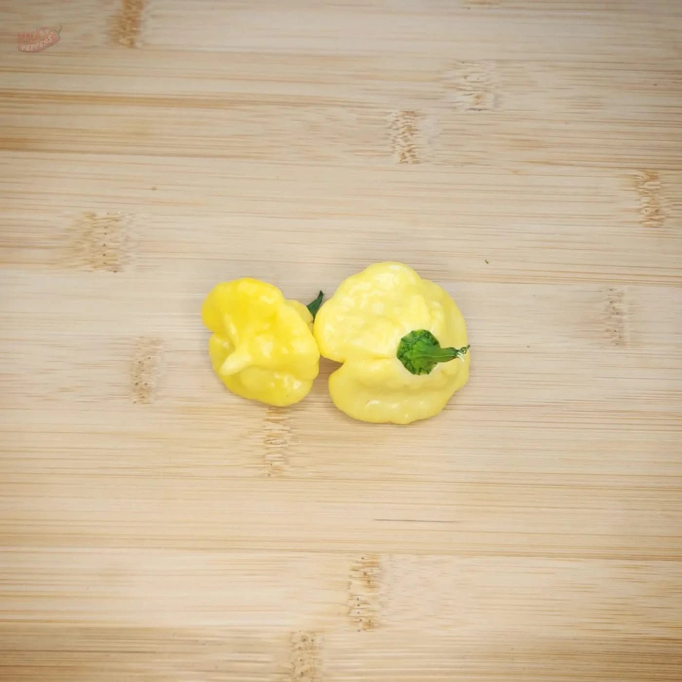 KS Lemon Starrburst (KSLS) - Mack's Peppers Hot