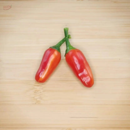 Mattapeño (Variegated Jalapeño) - Mack's Peppers Mild