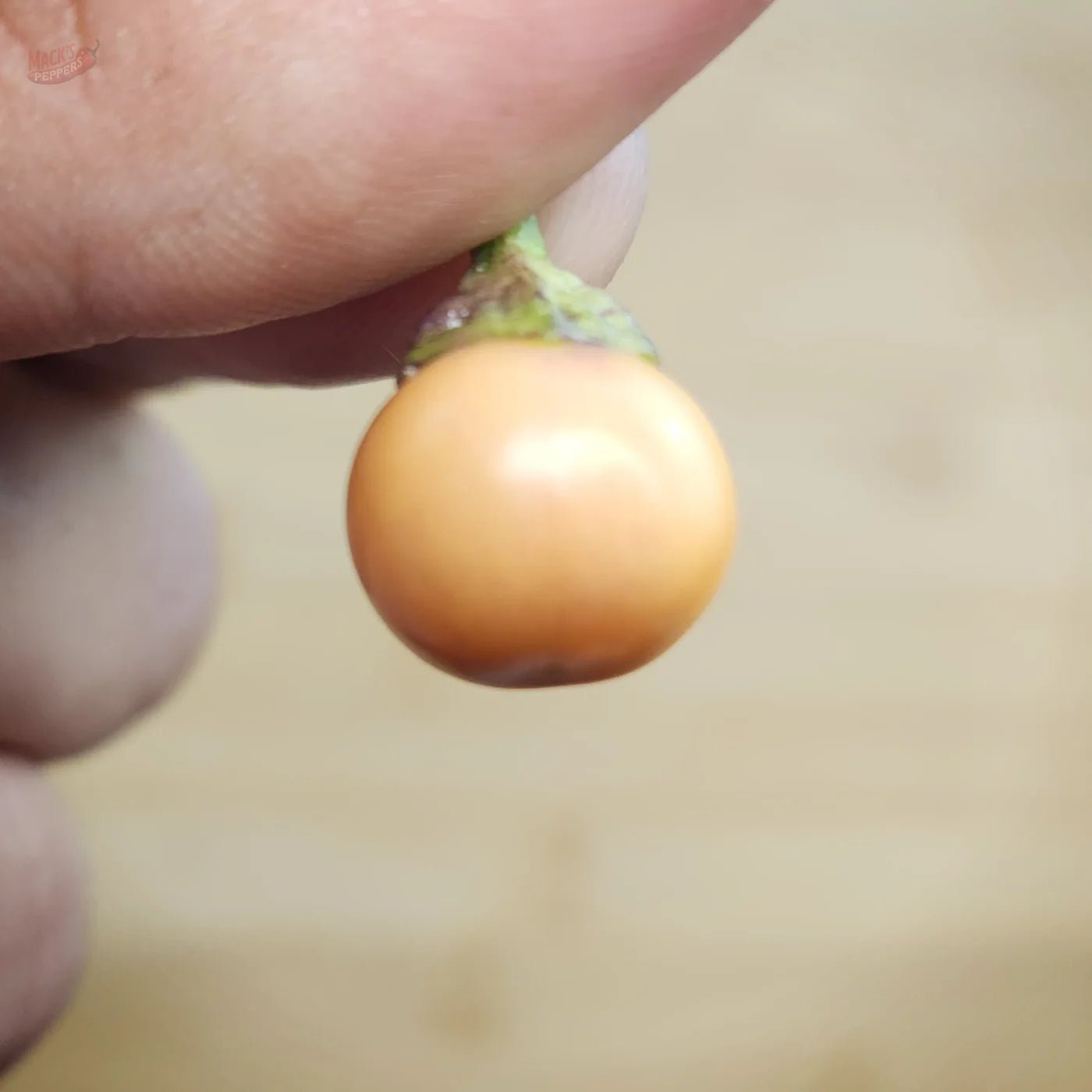 Midwest Midnight - Mack's Peppers Mild