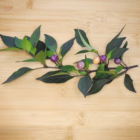 Midwest Midnight - Mack's Peppers Mild