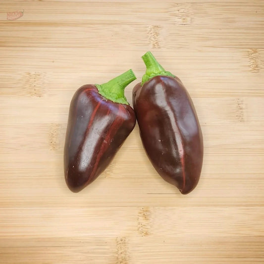 Mocha Swirl - Mack's Peppers Medium