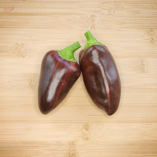 Mocha Swirl - Mack's Peppers Medium