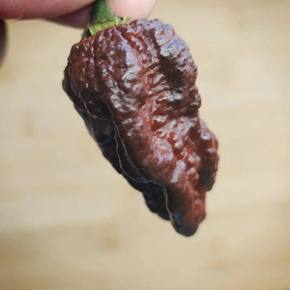 Nazguls Breakfast - Mack's Peppers Superhot