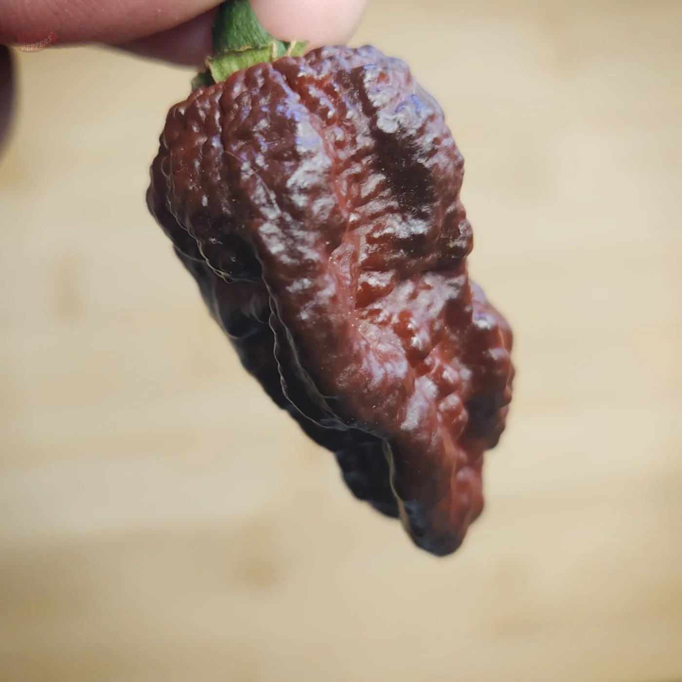 Nazguls Breakfast - Mack's Peppers Superhot