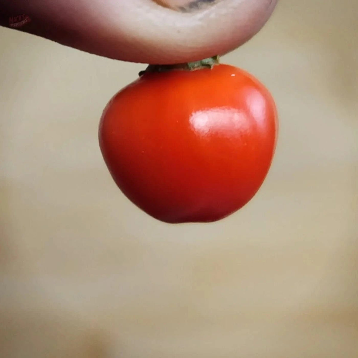 Ninfadora - Mack's Peppers Hot