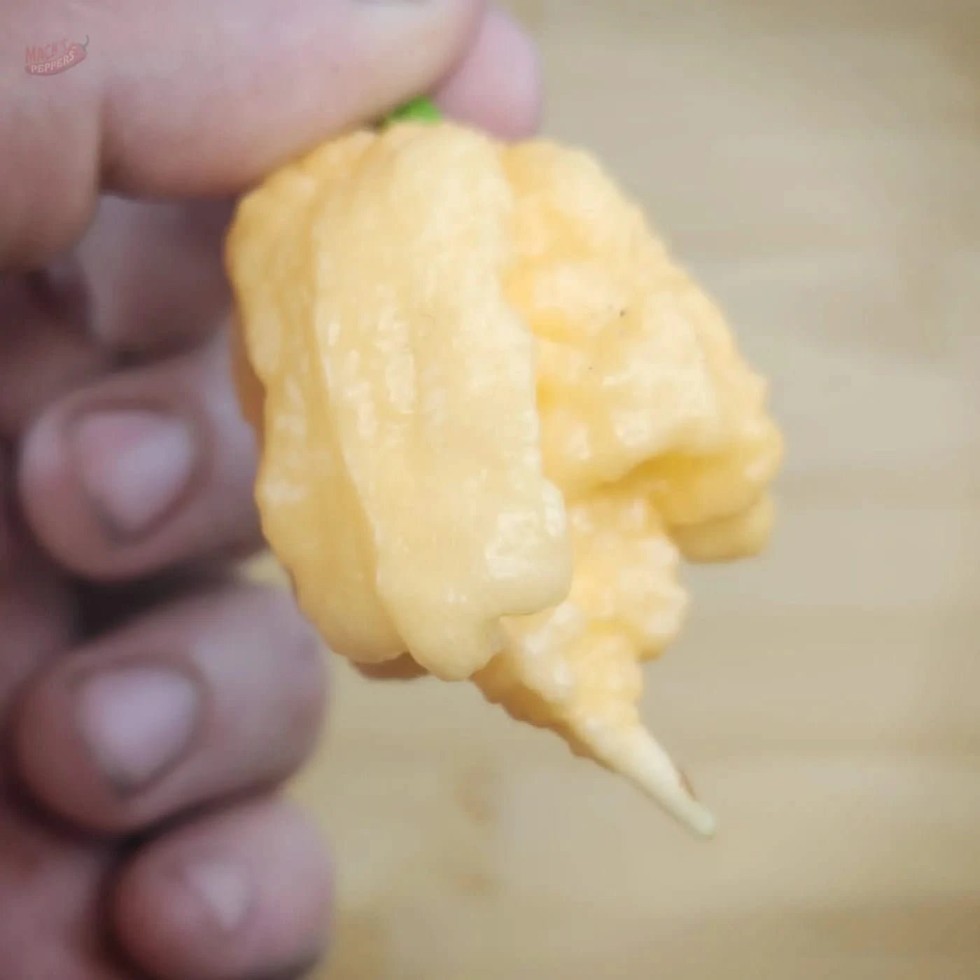 Peach Miasma - Mack's Peppers Superhot