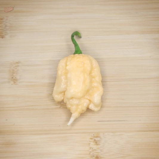 Peach Miasma - Mack's Peppers Superhot