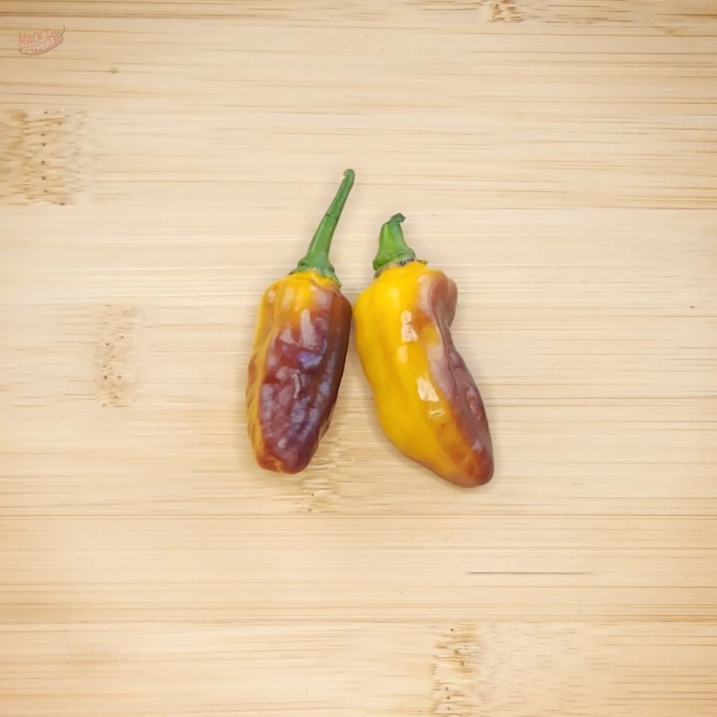 Puma - Mack's Peppers Hot