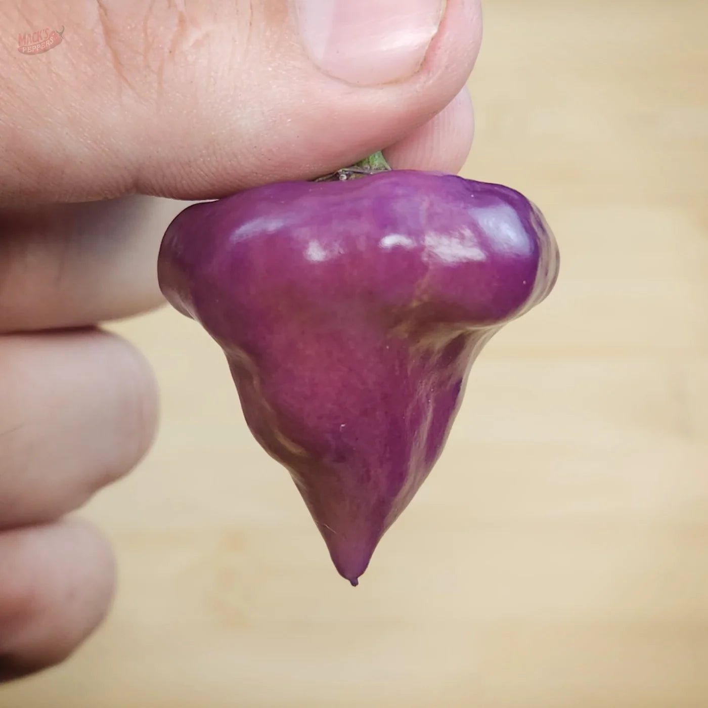 Purple UFO - Mack's Peppers Medium