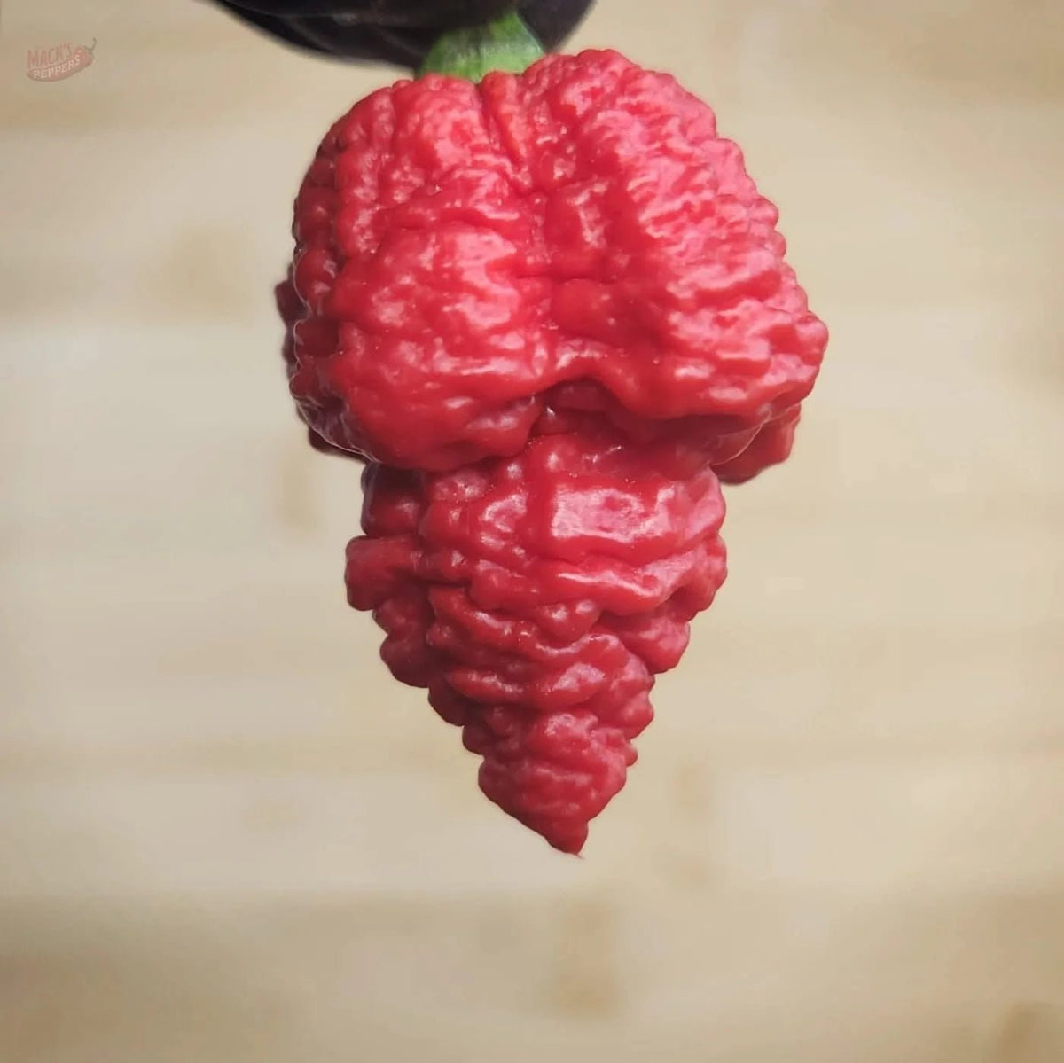 RB003 - Mack's Peppers Superhot