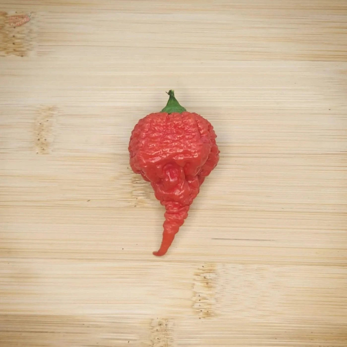RB003 - Mack's Peppers Superhot