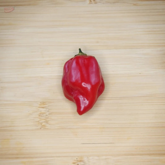 Red Habanero - Mack's Peppers Hot