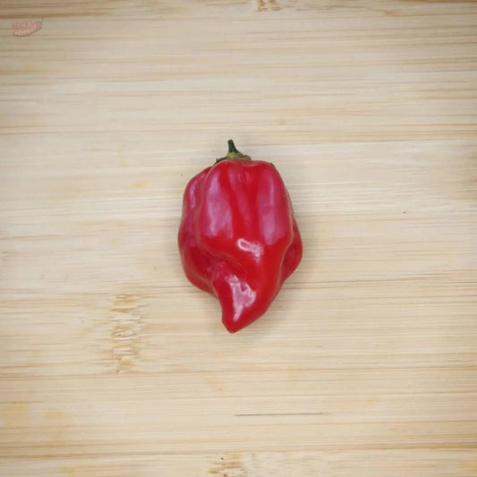 Red Habanero - Mack's Peppers Hot