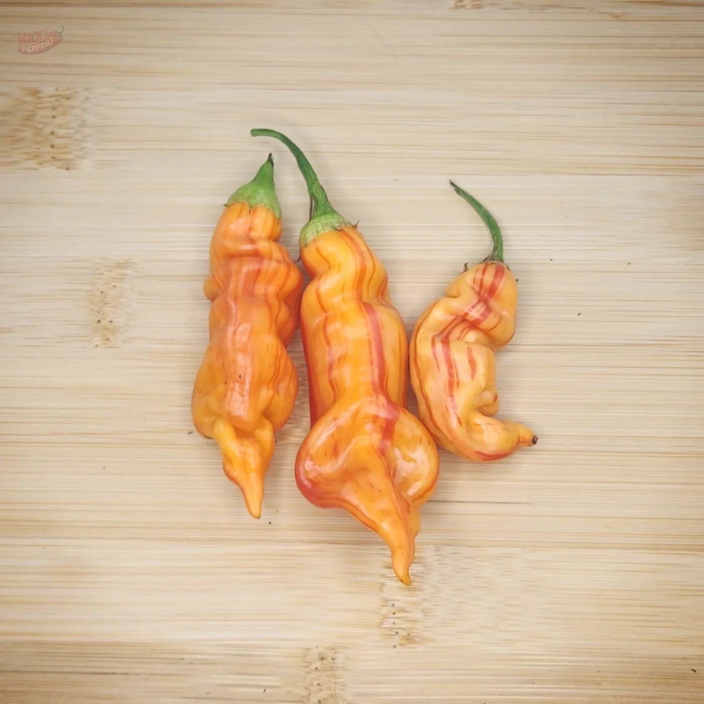 Sugar Rush Peach Stripey - Mack's Peppers Hot