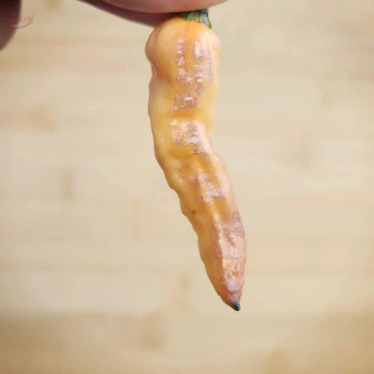 Thanos - Mack's Peppers Superhot