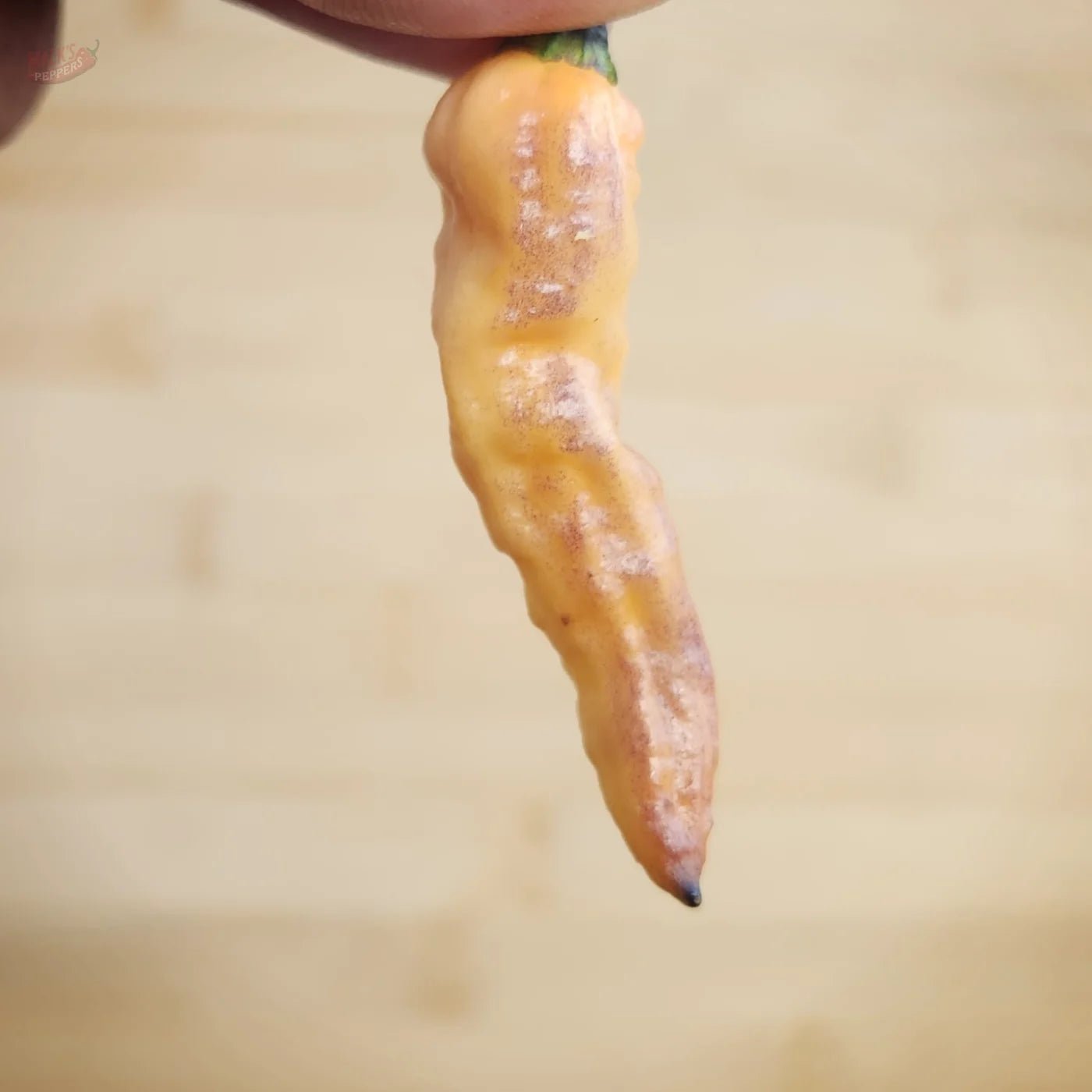 Thanos - Mack's Peppers Superhot