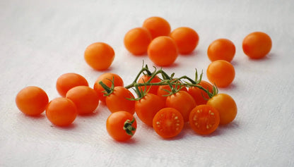 The Beta Tomato - Mack's Peppers