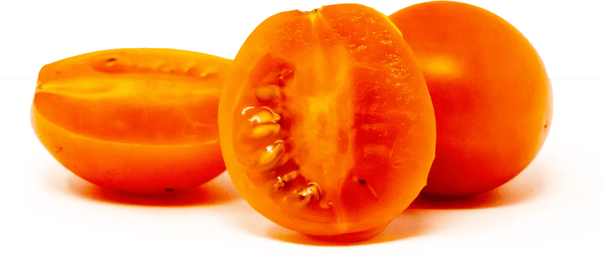 The Beta Tomato - Mack's Peppers