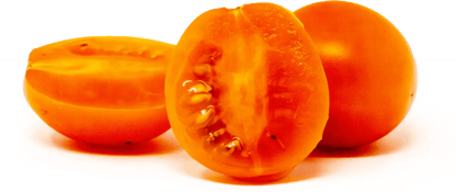 The Beta Tomato - Mack's Peppers
