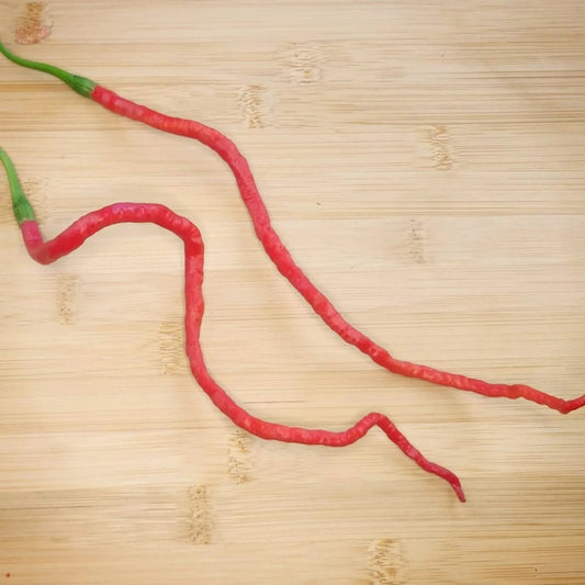 Thunder Mountain Longhorn - Mack's Peppers Medium