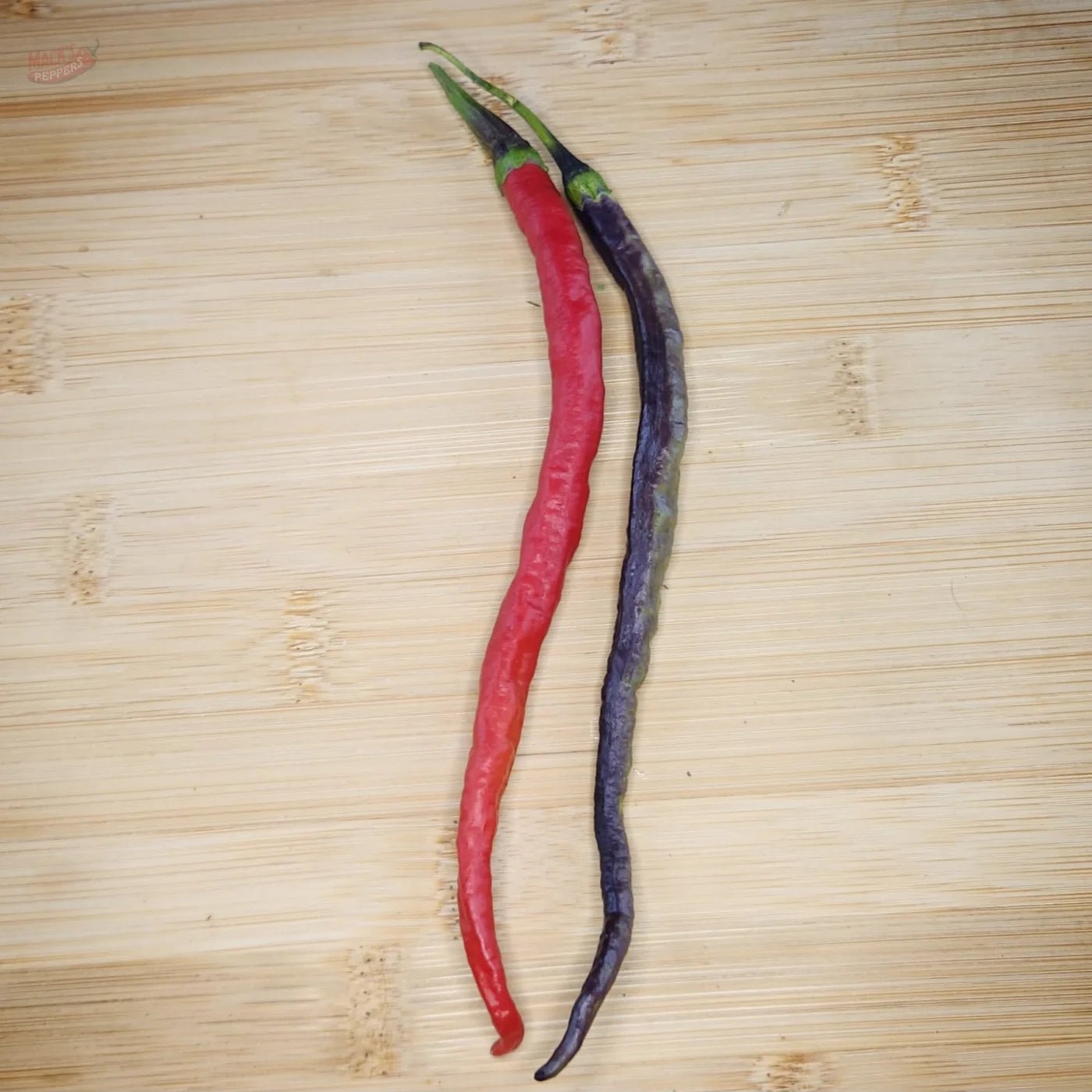Transylvania Slim Jim - Mack's Peppers Medium