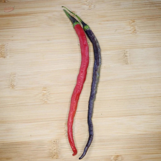 Transylvania Slim Jim - Mack's Peppers Medium