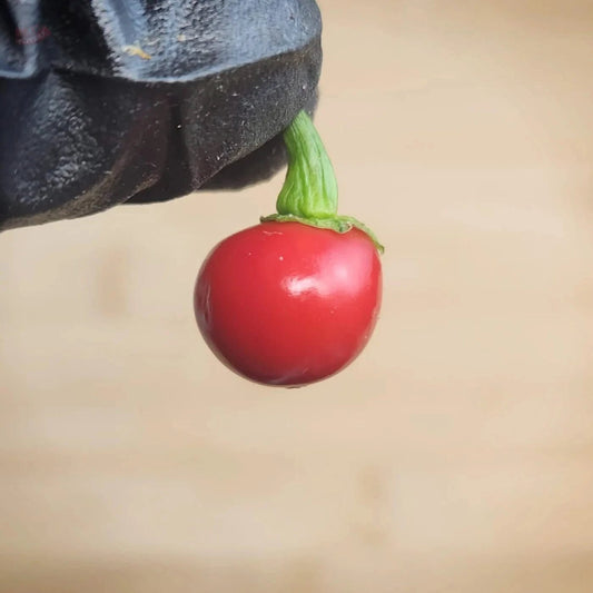 Wiri Wiri - Mack's Peppers Hot