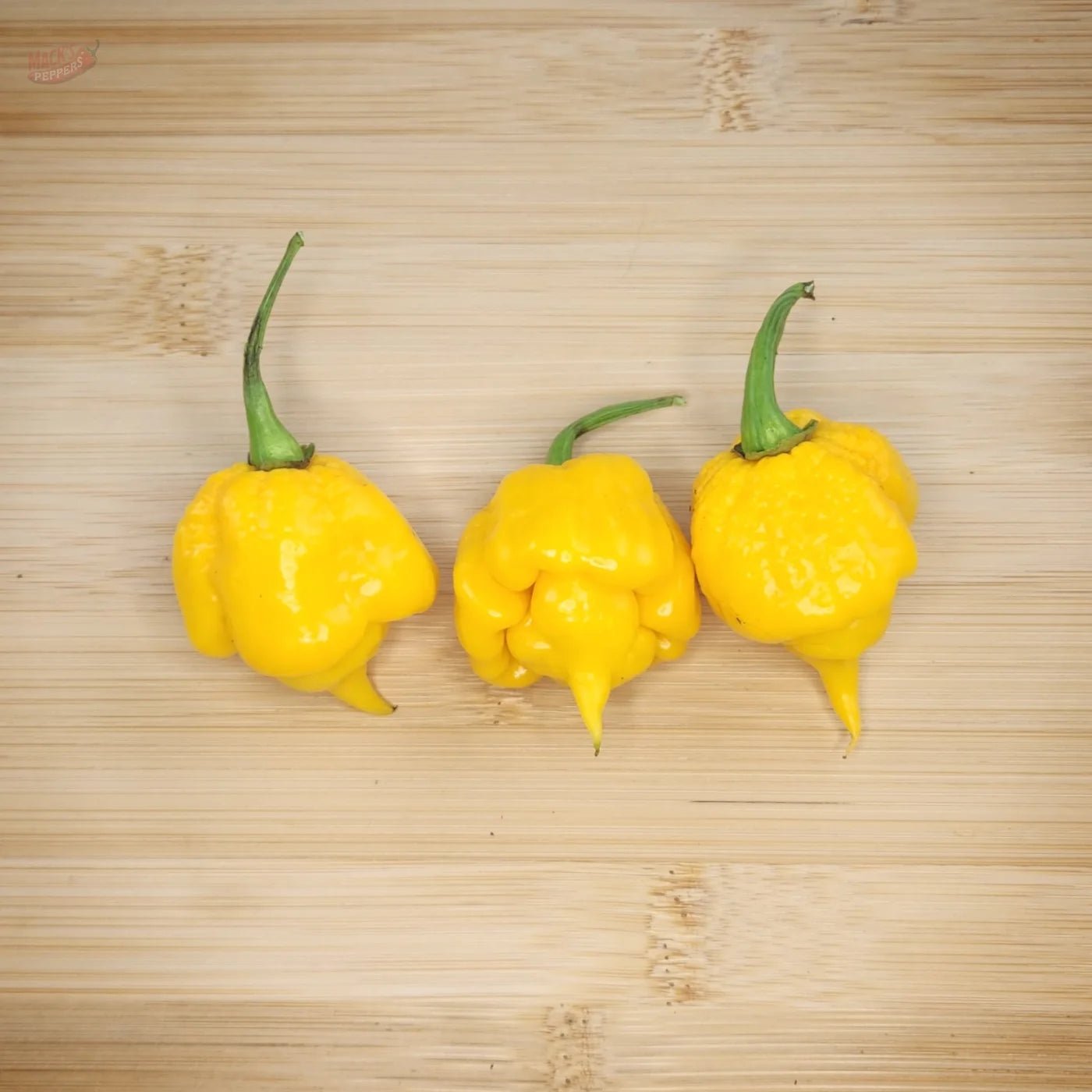 Yellow 7 - Pot Primo - Mack's Peppers Superhot