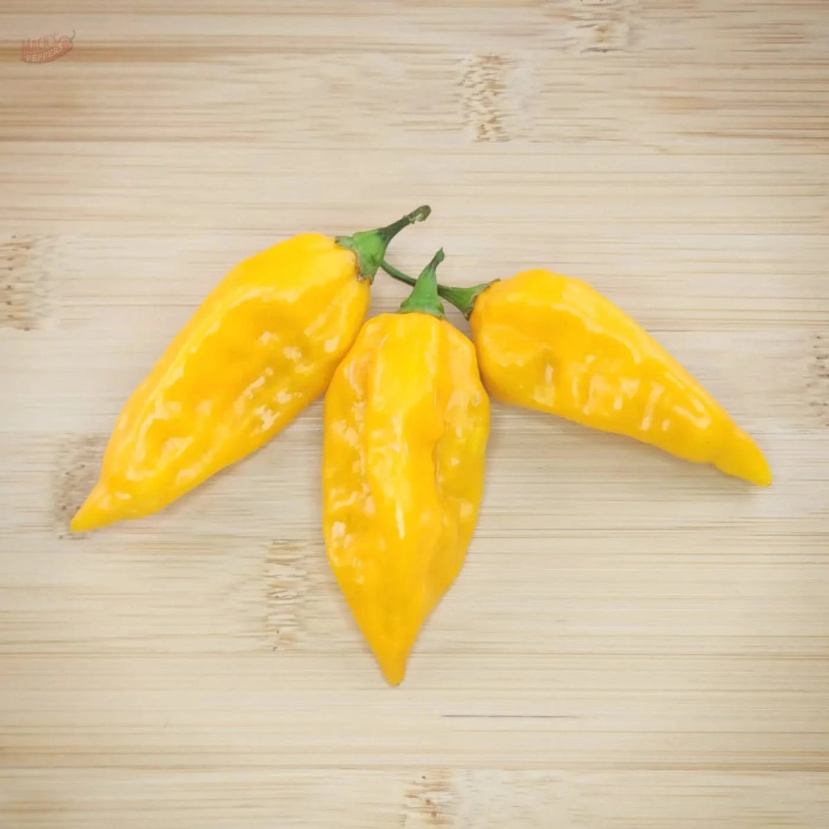 Yellow Fatalii - Mack's Peppers Hot