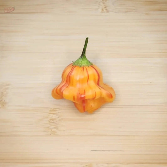 Zebrange - Mack's Peppers Mild